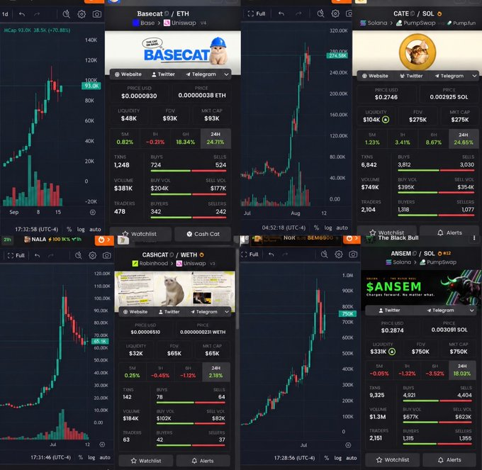 A cryptocurrency trading dashboard displays four different tokens—Basecat (BASECAT/ETH) showing a 38.5% gain, Cate (CATE/SOL) up 8.67%, Cashcat (CASHCAT/WETH) down 1.12%, and Ansem ($ANSEM/SOL) up 16.03%—with their respective price charts, market caps (ranging from $65K to $93K), and trading volumes. The post's claim of "an 806x" gain aligns with the volatile, high-multiplier nature of these low-cap memecoins shown on the screen, emphasizing the massive returns the poster attributes to their picks.