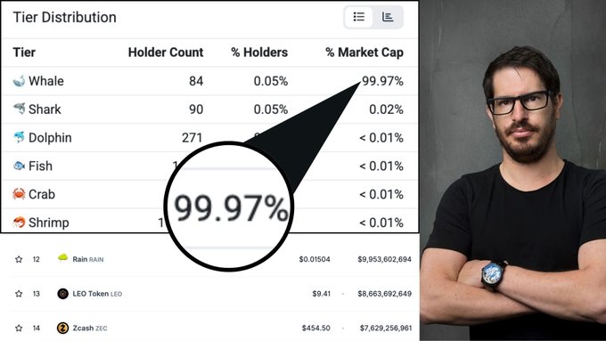 A man stands beside a "Tier Distribution" chart showing RAIN (Rain) cryptocurrency holder statistics, highlighting that just 84 "Whale" holders control a staggering 99.97% of the market cap, illustrating the extreme concentration of wealth that the post criticizes as a scam risk.