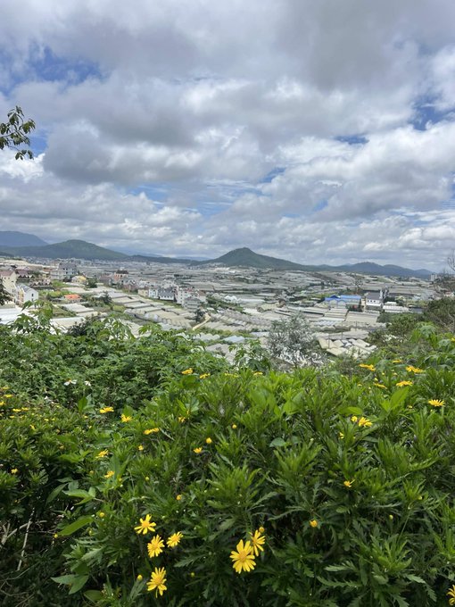A hilltop vantage offers a sweeping view over a valley blanketed in vast fields of white agricultural coverings, framed by wild yellow daisies in the foreground and distant mountains under a partly cloudy sky—fittingly capturing a sense of singular unity, or "Monad," within the landscape's singular, all-encompassing form.
