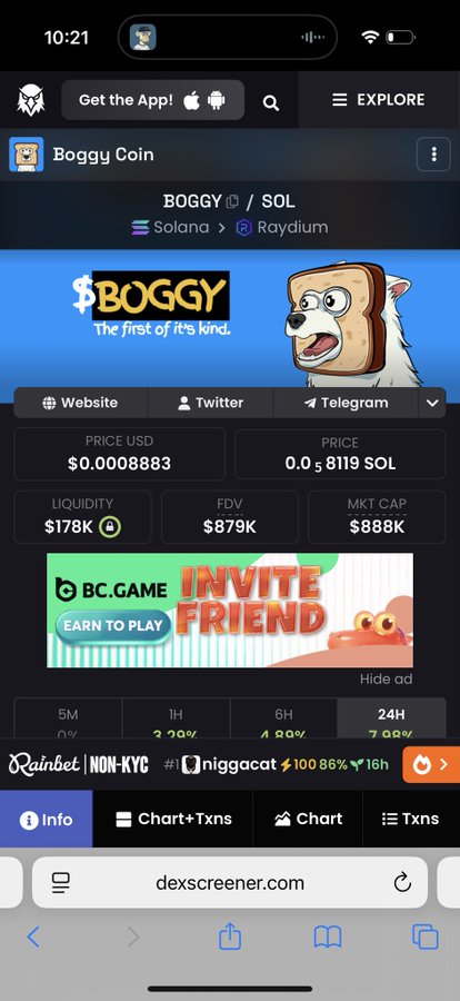 A mobile screenshot of the dexscreener.com website showing the Boggy Coin (BOGGY/SOL) token page on the Solana network via Raydium, priced at $0.0008883 with an $888K market cap.