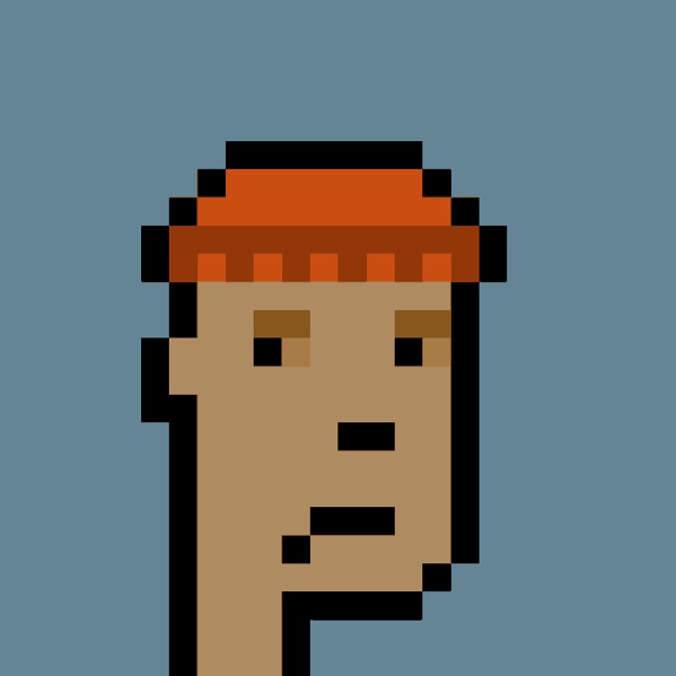 A pixel art portrait depicts a character wearing an orange and brown beanie against a blue background.