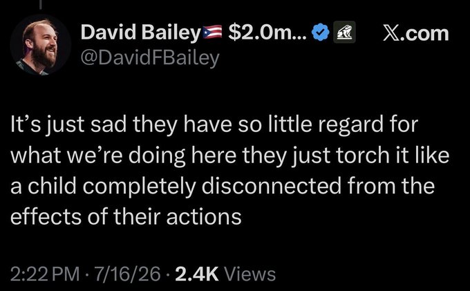 A screenshot of a tweet by David Bailey (@DavidFBailey) reading: 'It's just sad they have so little regard for what we're doing here they just torch it like a child completely disconnected from the effects of their actions' - posted 2:22 PM, 7/16/26, with 2.4K Views.