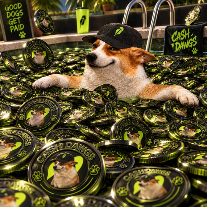A corgi wearing a black cap lounges in a pool overflowing with green and black "CASH DAWGS" tokens, with signage reading "GOOD DOGS GET PAID" and "CASH DAWGS" reinforcing the meme coin's playful branding for the $CASHDOGS launch giveaway.
