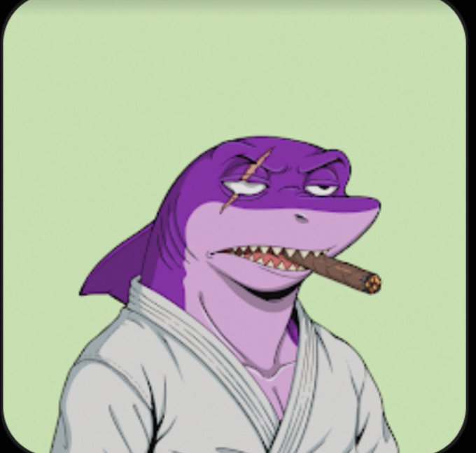 An illustration of an anthropomorphic purple shark wearing a white gi/martial arts uniform and smoking a cigar, against a light green background.
