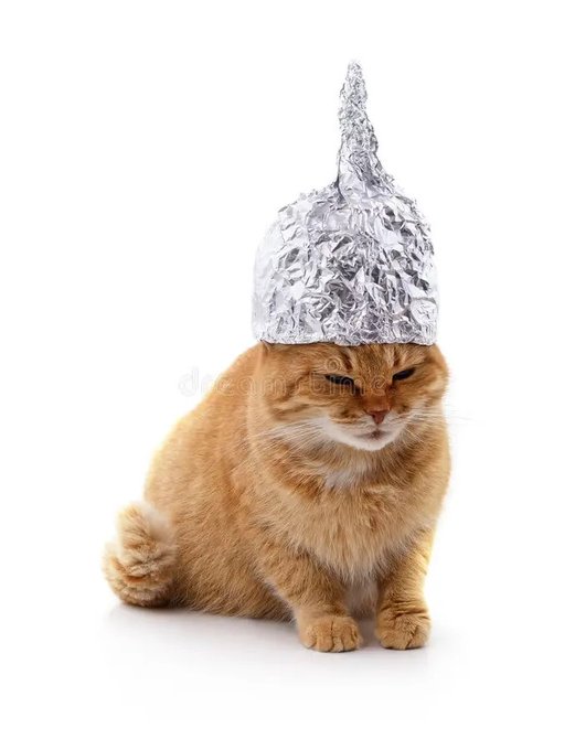 A ginger cat sitting against a white background with a pointed tinfoil hat placed on its head.