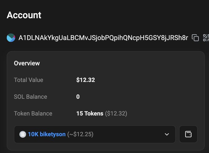 A dark-themed cryptocurrency account overview showing 'Total Value' of $12.32, 'Token Balance' of 15 Tokens ($12.32), with a wallet address beginning 'A1DLNAkYkgUaLBCMvJS...' and '10K biketyson (~$12.25)'.