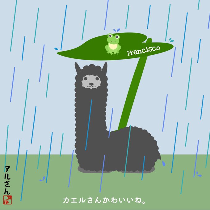 A cartoon illustration of a black alpaca standing in the rain holding a green leaf as an umbrella over a smiling frog labeled "Francisco," with Japanese text reading "カエルさんかわいいね" (The frog is so cute).