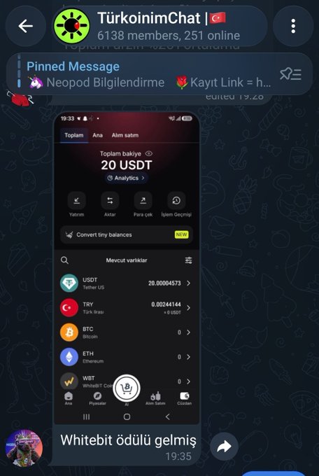 A Telegram group screenshot titled 'TürkoinimChat' with 6138 members. A user has shared a screenshot of a crypto wallet showing a balance of 20 USDT and other assets, with the caption 'Whitebit ödülü gelmiş'.