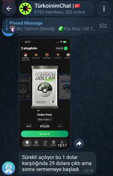 A screenshot of a Telegram chat titled 'TurkcoinimChat' with 3,190 members shows a pinned message from 'Hafze.Sengul3' advertising a 'Dollar Pack' for 29 dollars, with text translating to 'Surekli aliyor bu 1 dolar karsiliginda 29 dolara cikti ama sonra vermemeye basladi'.