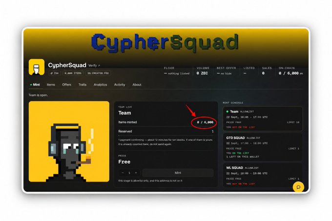 A screenshot of the CypherSquad NFT collection page on ZecBit Launchpad showing 0/6,000 items minted for the "Team" tier (highlighted with a red circle and arrow), despite the whitelist mint being set to start in 1 minute, illustrating the poster's question about why team mints remain at zero.