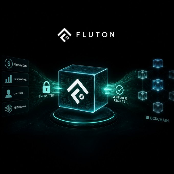 A graphic illustration for 'FLUTON' shows a glowing cube with the company logo, depicting data encryption on one side and blockchain on the other, with categories like Financial Data, Business Logic, User Data, and AI Decisions.