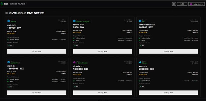 The BNS Marketplace interface displaying available BNS names for sale, including 'god.bdx', 'iamvk.bdx', 'fakhrudeen.bdx', 'dnl.bdx', 'airasia.bdx', and 'xmr.bdx', all priced in BDX tokens.