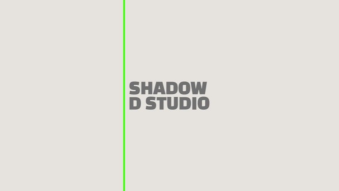 Minimalist logo design featuring a vertical bright green line next to the grey text 'SHADOW D STUDIO' on a light grey background.