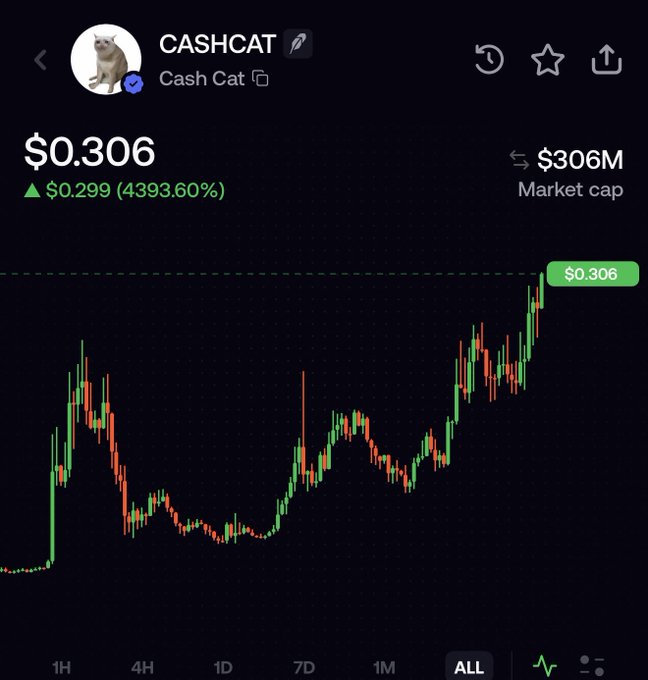 A trading chart displays the CASHCAT ("Cash Cat") meme coin at $0.306 with a market cap of $306M, showing a staggering 4393.60% gain of $0.299 and a recent breakout above a long-standing all-time high resistance level (dashed line). The candlestick chart on the ALL timeframe shows the token breaking out of a prolonged consolidation period into new highs, visually matching the poster's excitement about Cash Cat finally reaching an all-time high on the "hot" Robinhood chain.