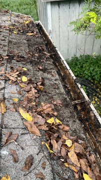A roof gutter completely clogged with wet brown and yellow autumn leaves, with debris spilling over the edge.