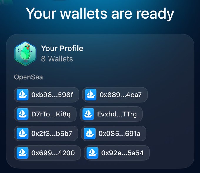 A digital wallet interface titled 'Your wallets are ready' displaying a profile with 8 OpenSea wallet addresses shown as abbreviated hexadecimal strings.