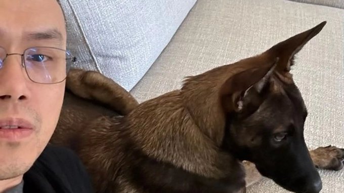 A selfie-style photo shows a man with glasses on the left next to a large brown and black dog with pointed ears, both lying together on a light gray sofa.