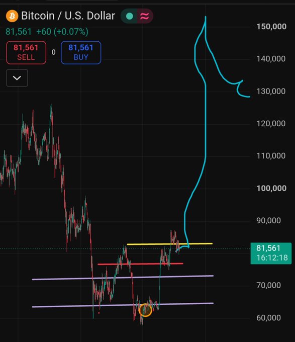 A Bitcoin/USD trading chart shows the price at $81,561 (+0.07%) with recent volatility, featuring annotations including a yellow horizontal line around the current price level, pink/purple support trendlines, and an orange circle marking a key signal point—corresponding to the post's mention of a crucial long zone signal as BTC approaches the $84,000 entry trigger.