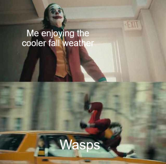 A two-panel meme featuring the Joker from the movie, with the top panel captioned 'Me enjoying the cooler fall weather' and the bottom panel showing him falling from a car captioned 'Wasps'.