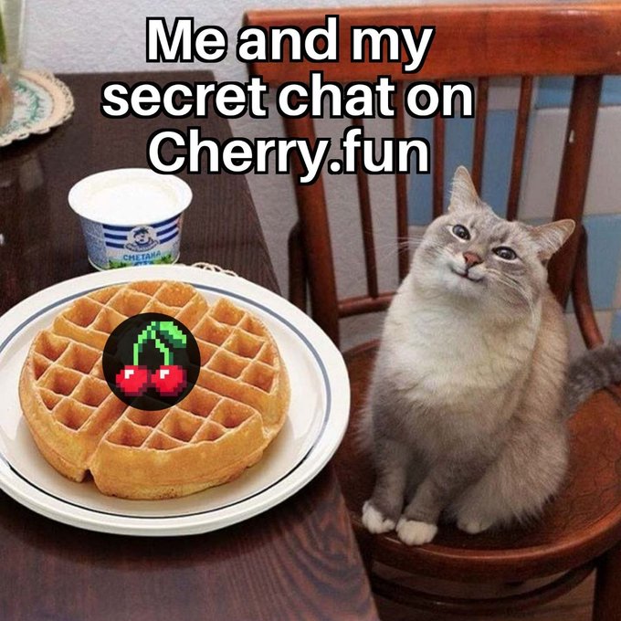 A meme featuring a smiling cat sitting next to a waffle and a container of Chi-Tara ice cream, with the caption 'Me and my secret chat on Cherry.fun' and a pixelated cherry logo overlaid on the waffle.
