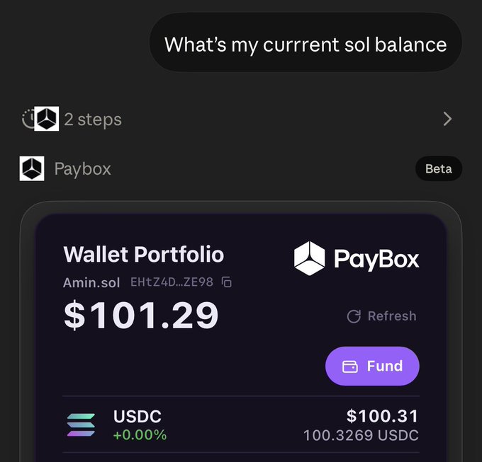 A user checks their SOL balance via the PayBox app, revealing a wallet portfolio worth $101.29 with 100.3269 USDC, fitting the "I got PayBoxed" tagline.