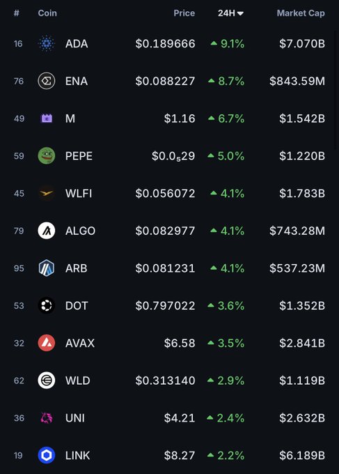 The image displays a cryptocurrency market leaderboard showing the top gainers in the top 100, with ADA (Cardano) leading at $0.189666 with a 9.1% 24-hour gain, followed by ENA (+8.7%), M (+6.7%), and PEPE (+5.0%), among others like WLFI, ALGO, ARB, DOT, AVAX, WLD, UNI, and LINK, each showing positive gains ranging from 9.1% down to 2.2%.
