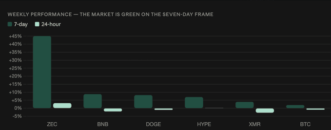 A bar chart titled 'WEEKLY PERFORMANCE — THE MARKET IS GREEN ON THE SEVEN-DAY FRAME' showing 7-day and 24-hour percentage changes for cryptocurrencies ZEC (~+45%), BNB, DOGE, HYPE, XMR, and BTC.
