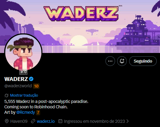 The image shows the Twitter/X profile of "WADERZ" (@waderzworld), a pixel-art avatar set against a post-apocalyptic paradise backdrop with the text "5,555 Waderz in a post-apocalyptic paradise. Coming soon to Robinhood Chain. Art by @Rcmedy." The profile visually reinforces the post's claim about the upcoming NFT collection launching on Robinhood Chain, highlighting its small following and early ecosystem status as an emerging project to monitor.