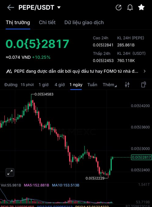 A PEPE/USDT cryptocurrency chart showing a price of 0.0(5)2817 (approximately 0.074 VND) with a 10.25% increase, displayed in Vietnamese on a trading platform.