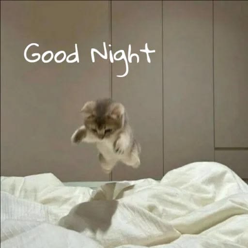 The image features a cute kitten jumping onto a bed, with the phrase "Good night" written above it. The text "@useTria is trying to make crypto easier for normal people so anyone can use it with less hassle". This suggests that the image might be related to cryptocurrency or digital assets and could be promoting a new cryptocurrency or highlighting the ease of using Tria, which is a wallet network designed to simplify managing digital assets.