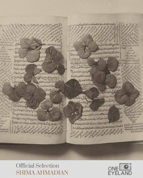 An official selection poster for 'SHIMA AHMADIAN' featuring a photograph of dried hydrangea flowers laid across the pages of an open book, displayed at One Eyeland.
