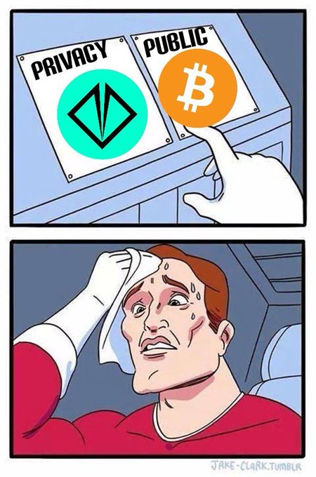 A meme showing a finger choosing between a 'PRIVACY' button (with a logo) and a 'PUBLIC' button (with a Bitcoin logo), followed by a sweating, distressed character wiping his brow.