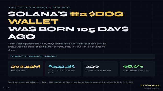 Cryptolution on-chain research infographic titled 'SOLANA'S #2 $DOG WALLET WAS BORN 105 DAYS AGO,' showing stats: $302.43M $DOG held, $233.2K deployed, 239 inbound fills, and 98.6% still held.