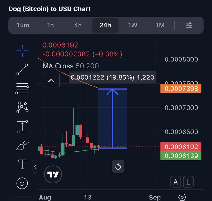 A cryptocurrency trading chart titled 'Dog (Bitcoin) to USD Chart' showing candlestick data, with a current value of 0.0006192 and a 24h timeframe selected.