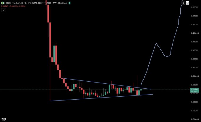 A Binance weekly candlestick chart for the HOLO/USDT perpetual contract (priced at ~0.06945) displays a year-long descending triangle pattern with the price now breaking out sharply upward, supporting the poster's bullish $1 price target. The blue trendlines outline the symmetrical triangle consolidation between ~0.04 and ~0.09, with a steep projected trajectory leading toward higher price levels.