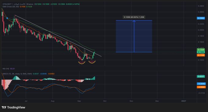 A TradingView chart for CFD:USDT shows a downward trend with technical analysis indicators and a projected price target of 1.056.