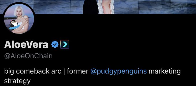 Twitter/X profile for AloeVera (@AloeOnChain) with a verified checkmark, bio reading 'big comeback arc | former @pudgypenguins marketing strategy', and profile picture showing a blonde woman.