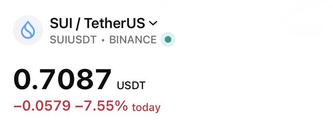 The image shows a text that reads "Crypto is brutal Never thought I’d see $SUI this low and yet here we are", which seems to be the caption of the original poster or an updated version posted at a crypto site like Mtgocurrency.net. The post appears to have been shared by someone with a name starting with the letter 'S'.