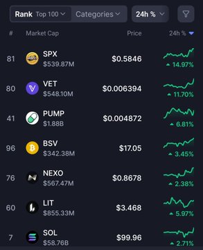 A cryptocurrency ranking screen showing top 100 by market cap with 24-hour performance, listing tokens including SPX ($539.87M, +14.97%), VET ($548.10M, +11.70%), PUMP ($1.88B, +6.81%), BSV ($342.38M, +3.45%), NEO ($567.47M, +2.38%), LIT ($655.33M, +5.97%), and SOL ($58.76B, +2.71%).