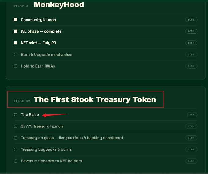 A dark green digital roadmap graphic outlines 'PHASE 01 MonkeyHood' and 'PHASE 02 The First Stock Treasury Token', with a red arrow pointing to 'The Raise', along with items like 'NFT mint — July 29' and 'Burn & Upgrade mechanism'.