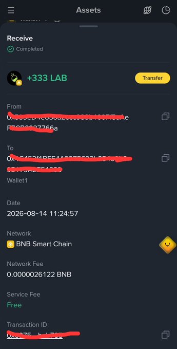 A mobile app screenshot displays a completed crypto transaction of +333 LAB received on the BNB Smart Chain, dated 2026-08-14 11:24:57, with sender and recipient addresses partially redacted.