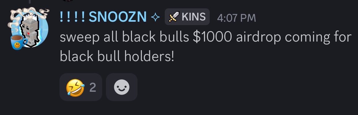 A Discord message from user '!!!! SNOOZN' (with a KINS sword badge) posted at 4:07 PM, announcing a '$1000 airdrop coming for black bull holders' with 2 laughing emoji reactions below.