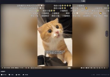 The image shows a video screenshot of an orange tabby cat with large eyes, overlaid with Chinese danmaku (bullet screen) text expressing anger at someone named "胡某宇" and calls for justice, alongside the Ethereum address 0x48a46238f97acd13c311d7a4e7159a3fd74e7777, related to the viral situation involving the cat blogger mourning the death of her cat "Dun Dun."