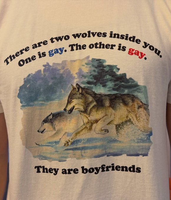 A white t-shirt featuring an illustration of two wolves with text reading 'There are two wolves inside you. One is gay. The other is gay. They are boyfriends'.
