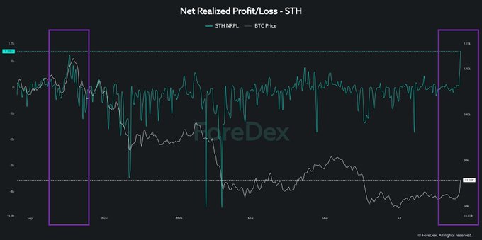 A financial chart titled 'Net Realized Profit/Loss - STH' comparing STH NRPL and BTC Price over time, with two periods highlighted by purple boxes, watermarked 'RareDex' and credited to 'ForeFox'.