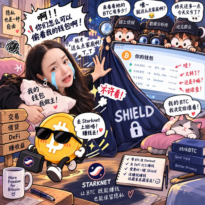A colorful promotional illustration in Chinese for StarkNet, featuring a crying woman, an anthropomorphic Bitcoin character, and various speech bubbles emphasizing Bitcoin privacy and DeFi opportunities.