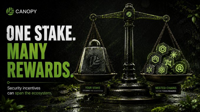 A promotional banner for 'CANOPY' with the tagline 'ONE STAKE. MANY REWARDS.' and text 'Security incentives can span the ecosystem,' showing a balance scale weighing 'YOUR STAKE' against 'NESTED CHAINS'.