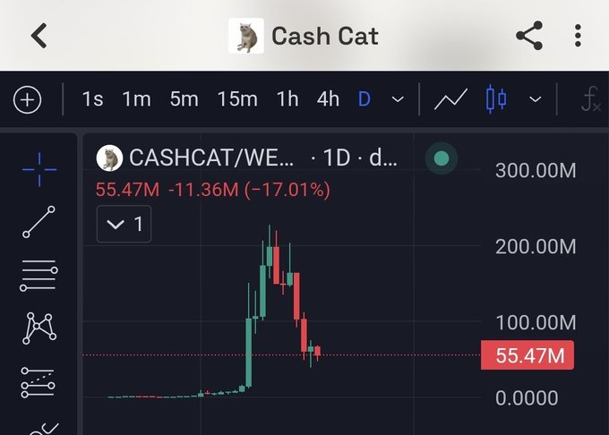 A daily chart of $CASHCAT/WETH on a trading platform shows the token's dramatic rise to a peak above 200M followed by a steep crash to 55.47M, reflecting a 17.01% decline and confirming the post's observation about holders losing conviction during the bear market downturn.