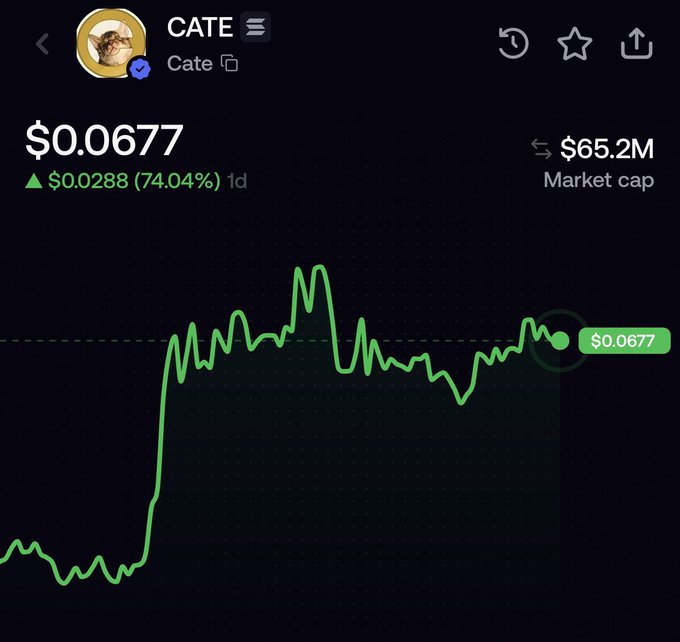 A financial chart displays the price of CATE token at $0.0677, showing a green line graph indicating a 74.04% increase of $0.0288 over 1 day with a market cap of $65.2M.