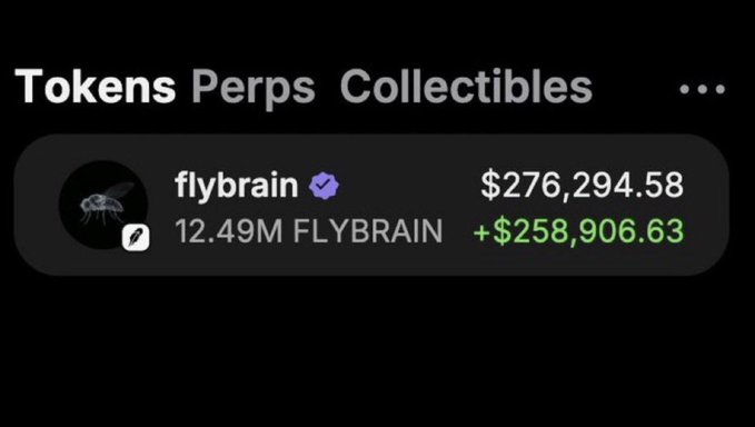 A crypto wallet screenshot displays "Tokens Perps Collectibles" with a verified token called "flybrain" showing a balance of 12.49M FLYBRAIN valued at $276,294.58, with a notable gain of +$258,906.63. This appears to be a screenshot showcasing significant crypto profits, likely used to lend credibility to a giveaway promising 200 SOL (~$95,000) to a random follower—a common tactic in crypto giveaway scams that exploit large displayed gains to lure victims.